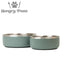 Double Wall Stainless Steel Bowl Sage Green