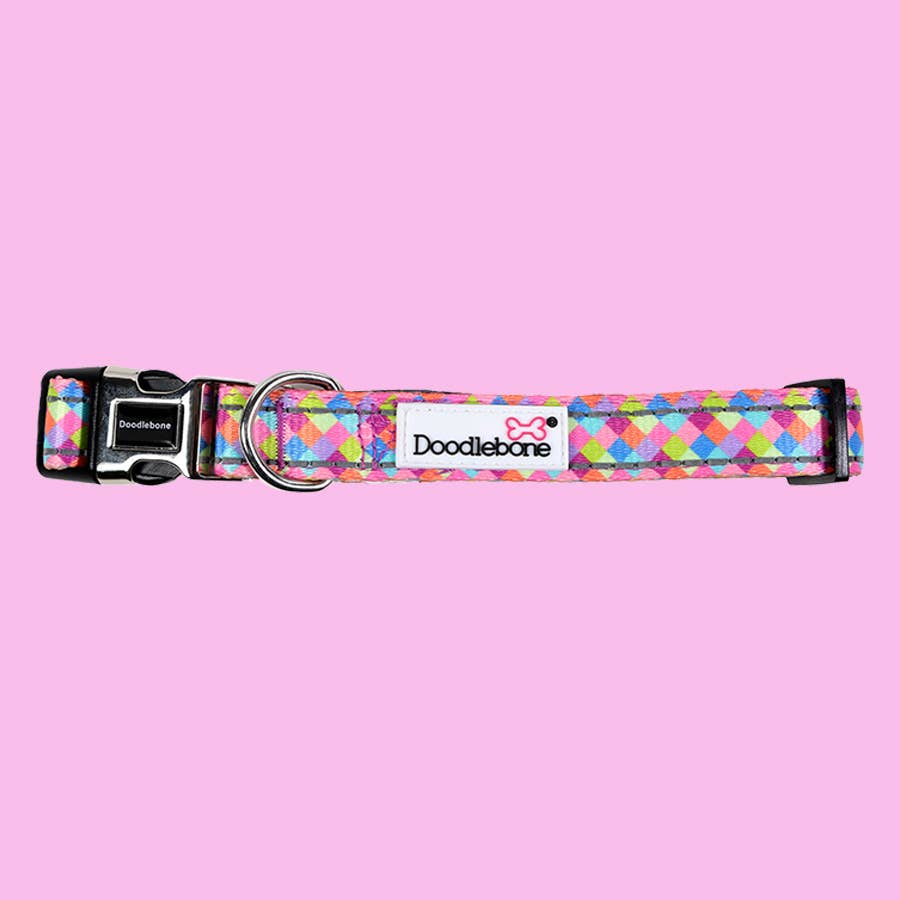 Doodlebone Padded Dog Collar