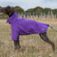 Fleece Dog Jumper - Purple