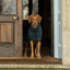 Ruff & Tumble Classic Dog Drying Coat