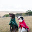 Luxe Waterproof Dog Coat 0g - Hunter Green
