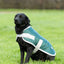 Classic 240g Waterproof Dog Coat - Hunter Green