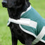 Classic 240g Waterproof Dog Coat - Hunter Green