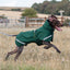 Luxe Waterproof Dog Coat 250g - Hunter Green