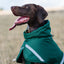 Luxe Waterproof Dog Coat 0g - Hunter Green