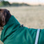 Luxe Waterproof Dog Coat 0g - Hunter Green