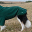 Fleece Dog Jumper - Hunter Green