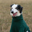 Fleece Dog Jumper - Hunter Green