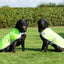 Classic 240g Waterproof Dog Coat - High Viz Yellow