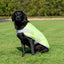 Classic 240g Waterproof Dog Coat - High Viz Yellow