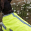 Classic Waterproof Dog Coat 150g - High Viz Yellow