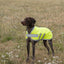 Classic Waterproof Dog Coat 150g - High Viz Yellow