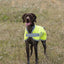 Classic Waterproof Dog Coat 150g - High Viz Yellow