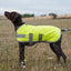 Classic Waterproof Dog Coat 150g - High Viz Yellow