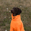 Fleece Dog Jumper - Orange