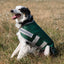 Classic Waterproof Dog Coat 150g - Hunter Green