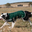 Classic Waterproof Dog Coat 150g - Hunter Green