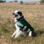 Classic Waterproof Dog Coat 150g - Hunter Green
