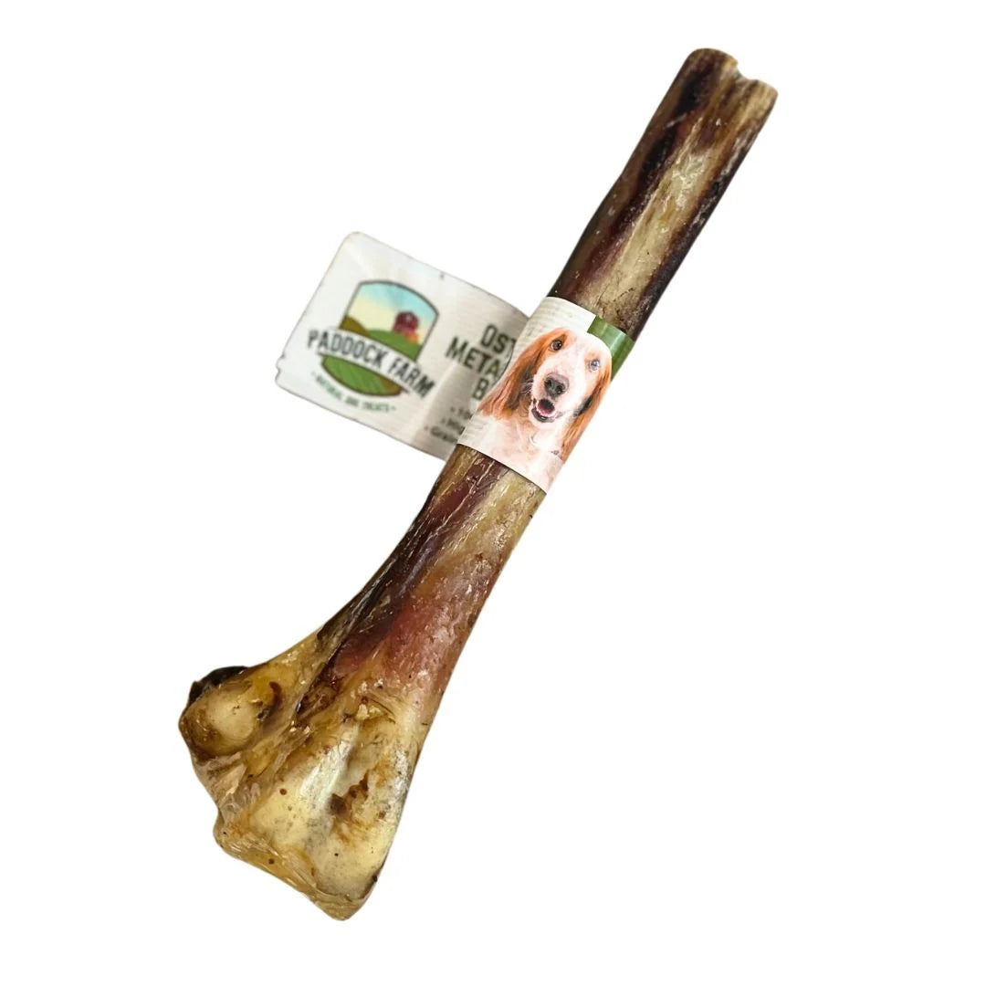 Paddock Farm - Ostrich Metatarsus Bones