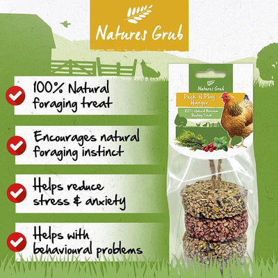 Natures Grub Peck 'n Play Hanger