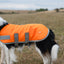 Classic Waterproof Dog Coat 150g - Orange High Viz