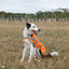 Classic Waterproof Dog Coat 150g - Orange High Viz