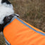 Classic Waterproof Dog Coat 150g - Orange High Viz