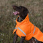 Luxe Waterproof Dog Coat 250g - Orange High Viz