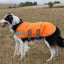 Classic Waterproof Dog Coat 150g - Orange High Viz