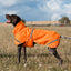 Luxe Waterproof Dog Coat 250g - Orange High Viz