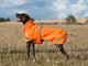 Luxe Waterproof Dog Coat 250g - Orange High Viz