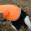 Classic Waterproof Dog Coat 150g - Orange High Viz