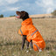 Luxe Waterproof Dog Coat 250g - Orange High Viz