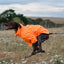 Fleece Dog Jumper - Orange