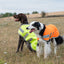 Classic Waterproof Dog Coat 150g - Orange High Viz