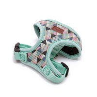 Penrose Geometric Triangle Mesh Harness