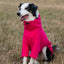 Fleece Dog Jumper - Pink