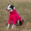 Fleece Dog Jumper - Pink