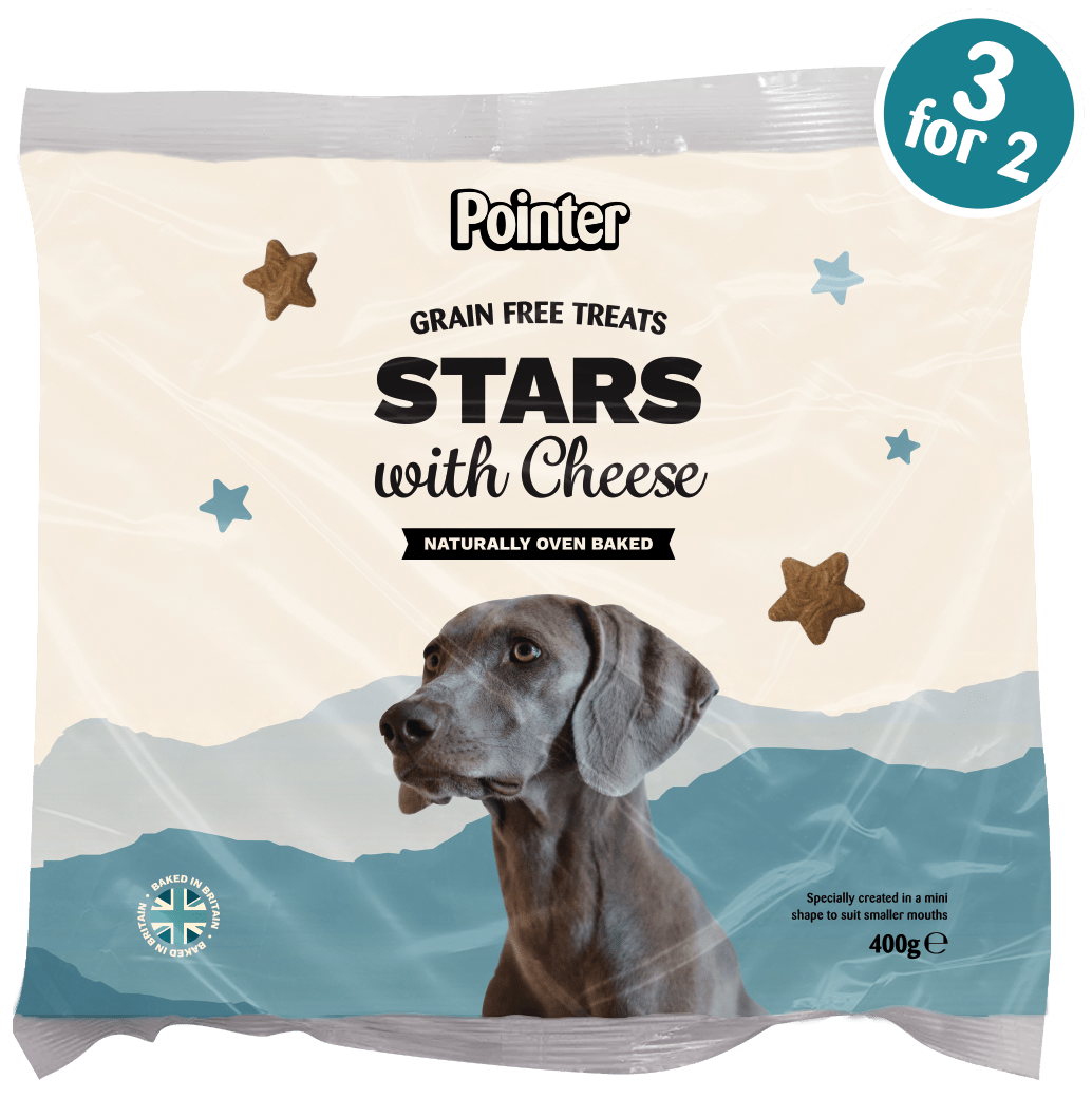 Pointer Grain Free Stars with Cheese 400g