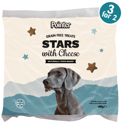 Pointer Grain Free Stars with Cheese 400g
