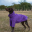 Fleece Dog Jumper - Purple