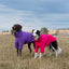 Fleece Dog Jumper - Purple