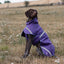 Luxe Waterproof Dog Coat 250g - Purple