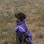 Luxe Waterproof Dog Coat 250g - Purple