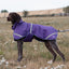 Luxe Waterproof Dog Coat 250g - Purple