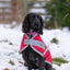 Classic 240g Waterproof Dog Coat - Red
