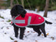 Classic 240g Waterproof Dog Coat - Red