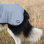 Luxe Waterproof Dog Coat 0g - Reflective Silver