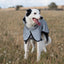 Luxe Waterproof Dog Coat 0g - Reflective Silver