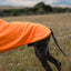 Fleece Dog Coat - Orange